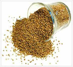 Bishop's Weed