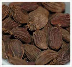 Cardamom (Large)
