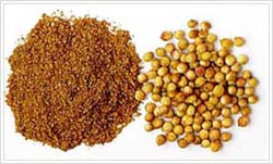 Spicemax