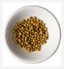 Coriander Seeds