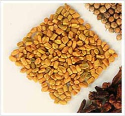 Fenugreek Seeds