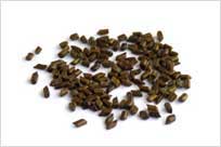 Cassia Seeds