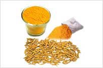 Turmeric Finger